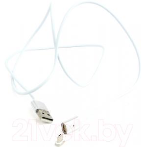 Кабель Cablexpert CC-USB2-AMmUMM-1M