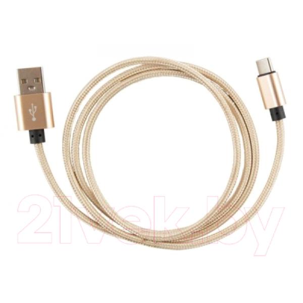 Кабель Рыжий кот Energy ET-01 USB/Type-C / R006278