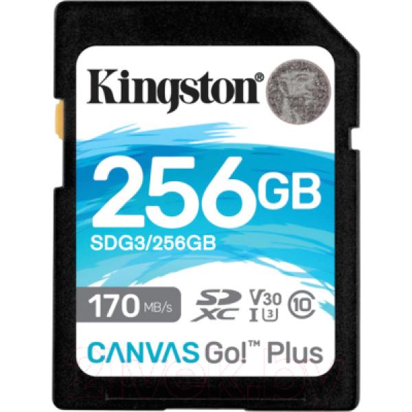 Карта памяти Kingston Canvas Go Plus SDXC (Class10) 256GB (SDG3/256GB)