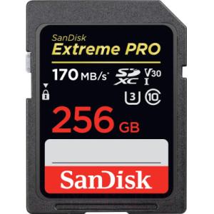 Карта памяти SanDisk Extreme Pro SDXC 256GB (SDSDXXY-256G-GN4IN)