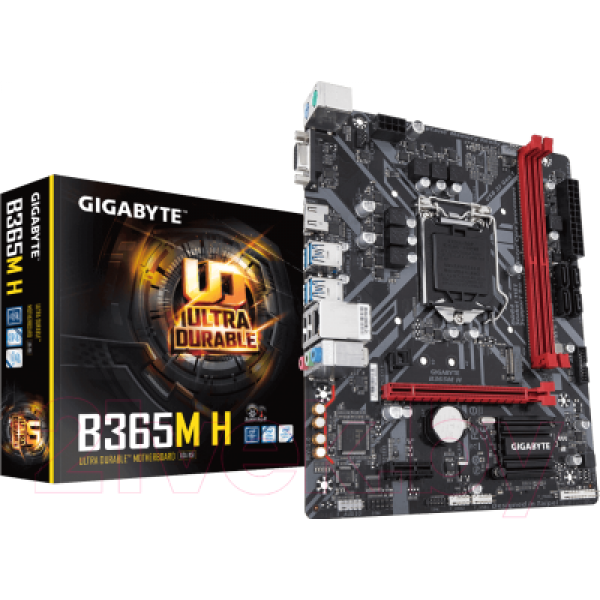 Материнская плата Gigabyte B365M H