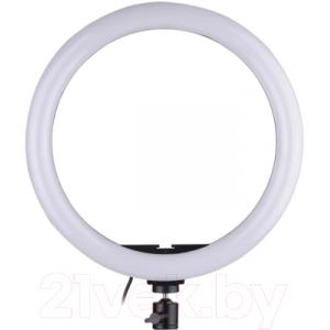 Осветитель студийный FST RL-48RGB / ут-00000727