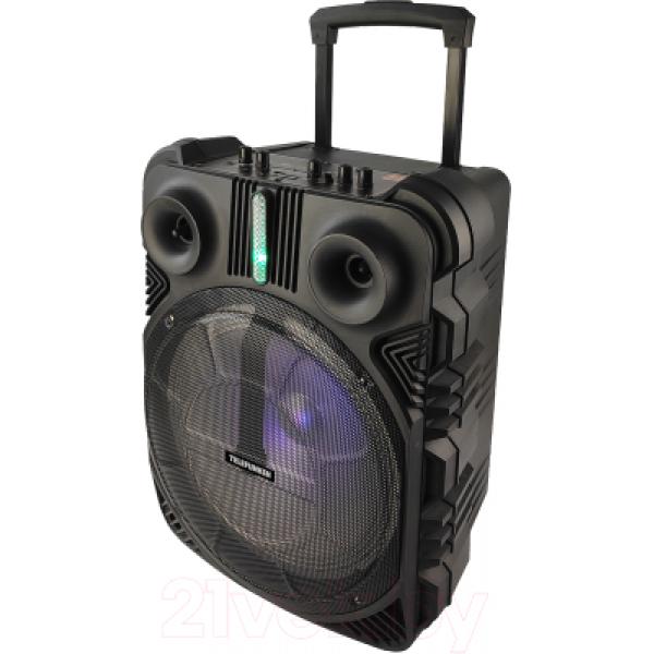 Портативная колонка Telefunken TF-PS2306