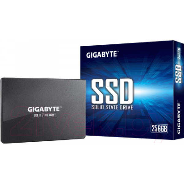 SSD диск Gigabyte 256GB (GP-GSTFS31256GTND)