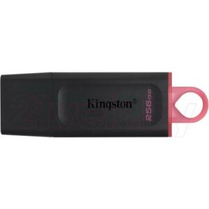 Usb flash накопитель Kingston Data Traveler Exodia 256GB (DTX/256GB)