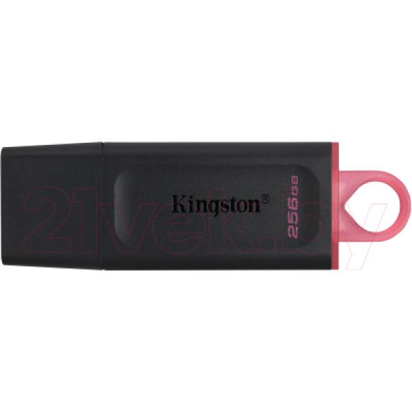 Usb flash накопитель Kingston Data Traveler Exodia 256GB (DTX/256GB)