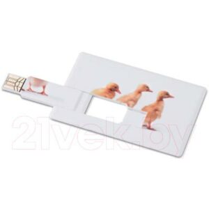 Usb flash накопитель Mid Ocean Brands Memorama 16GB / MO1059c-06-16G