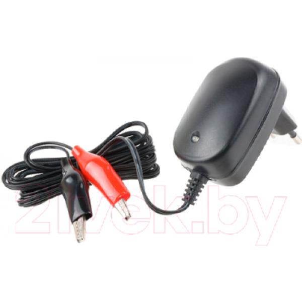 Зарядное устройство для аккумуляторов Robiton LAC12-500 / БЛ17784