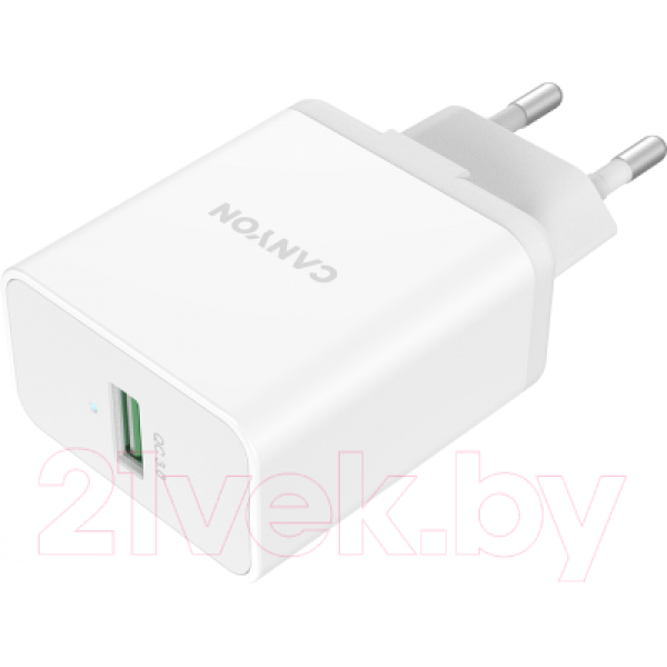 Зарядное устройство сетевое Canyon CNE-CHA24W