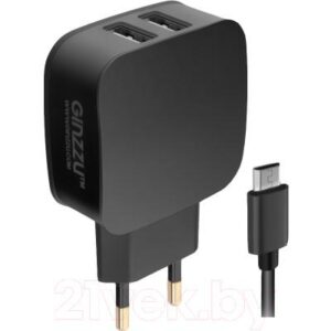 Зарядное устройство сетевое Ginzzu GA-3010UB