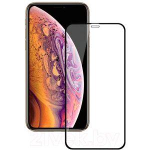 Защитное стекло для телефона Volare Rosso Fullscreen Full Glue для iPhone X/XS/11 Pro